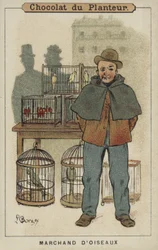 Vogelhändler